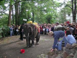 Theater PasParTout Theater PasParTout